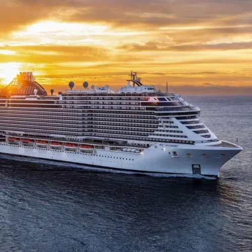 Book an unforgettable cruise in the waters of Algoa Bay