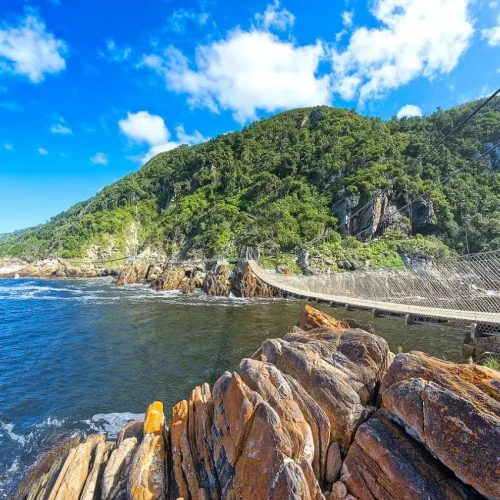 Traverse the magnifenct Garden Route and experience some of Africa's most outstanding coastal beauty